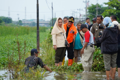 Hujan Deras Guyur Semarang, Mbak Ita Tinjau Wilayah Terdampak Banjir