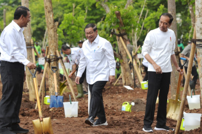 Antisipasi Perubahan Iklim, Presiden Jokowi Ajak Masyarakat Tanam Pohon