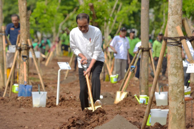 Tanam Pohon Bersama di Pulo Gadung, Presiden: Atasi Polusi dan Antisipasi Perubahan Iklim