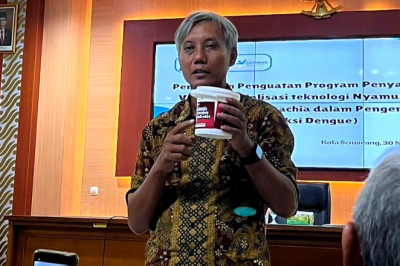 Tekan Infeksi Dengue, Pemanfaatan Aedes Aegypti Berwolbachia Terus Digalakkan