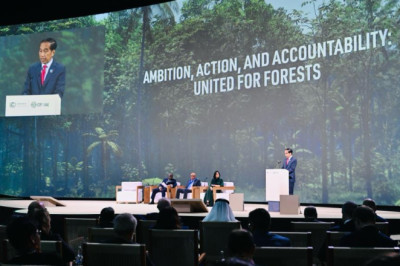 Presiden Jokowi Sampaikan Langkah Indonesia Capai Net Carbon Sink Sektor Hutan dan Lahan
