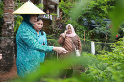 Warga Antusias Tanam Cabai di Pekarangan,Tak Terimbas Harga yang Mahal