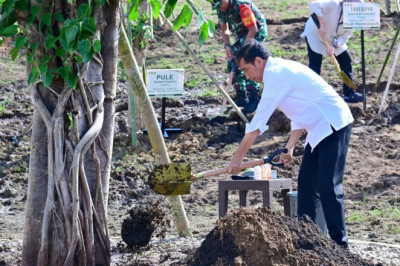 Tanam Pohon Bersama Masyarakat, Presiden: Ini Tindakan Nyata Hadapi Perubahan Iklim