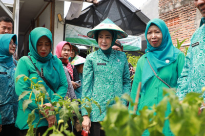 Gerakan Tanam Cabai di Jateng Terbanyak se-Indonesia