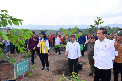 Mulai Penghijauan IKN, Presiden: Untuk Bangun Hutan Hujan Tropis yang Beragam