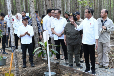 Presiden Jokowi Tinjau Miniatur Reforestrasi Hutan Tropis dan Lakukan Penanaman Pohon