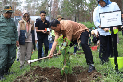 Reboisasi, Pemprov Jateng Lakukan Tanam Bibit Pohon di Kawasan Taman Nasional Gunung Merbabu