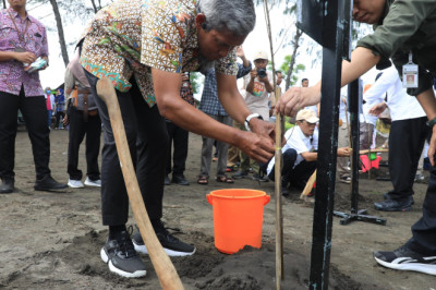 Cegah Abrasi di Pantai Utara Jateng, Masyarakat Didorong Tanam Pohon