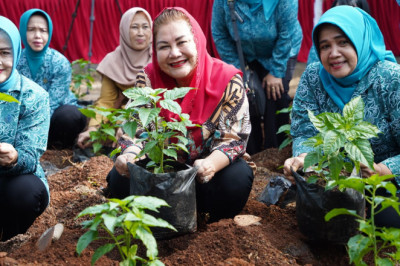 Program Urban Farming Terus Digenjot, Upaya Kota Semarang Menekan Inflasi