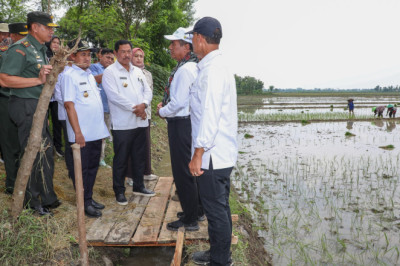 Kementan Terjunkan Tim Penuntasan Distribusi Pupuk, Pj Gubernur Jateng Siap Awasi