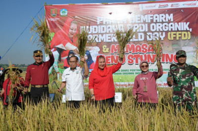 Pemkot Semarang Wujudkan Pertanian Modern dengan Pemanfaatan Teknologi