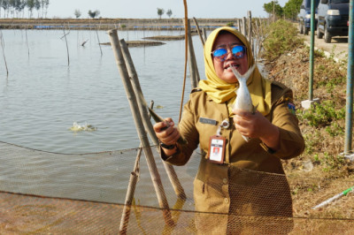 Bantu Petani Tambak, Distan Jepara Pasarkan ke Pegawai