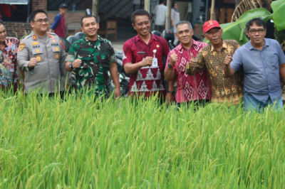 Hasilkan Beras Lebih Sehat, Bupati Semarang Siapkan Drone