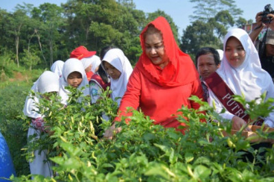 Mbak Ita Dorong Anak Muda Jadi Agen Ketahanan Pangan