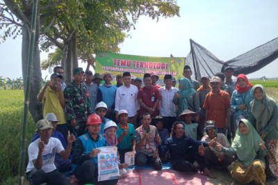 Dukung Petani, Pemkab Rembang Siapkan Listrik di Sawah