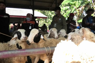 Pemkab Temanggung Jamin Hewan Kurban Sehat dan Cukup
