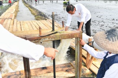 Presiden Jokowi Tinjau Pompanisasi di Lampung Selatan, Dorong Produktivitas Pertanian