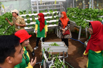 Pemkot Semarang Terus Dorong Pemanfaatan Lahan Tidur untuk Urban Farming