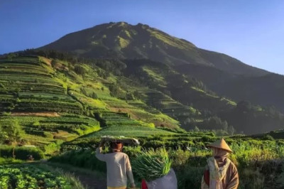 Blumbang Roto Kaliangkrik Bakal Dikembalikan Fungsinya Jadi Jalan Usaha Tani