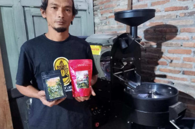Kopi Liar dan Merah, Komoditas Premium Terbaru Desa Ngargoretno Salaman