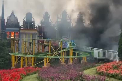 Kebakaran Taman Bunga Celosia Bandungan