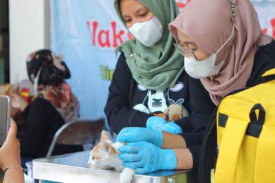 Pastikan Jateng Zero Rabies, Disnakkeswan Gelar Vaksinasi Gratis