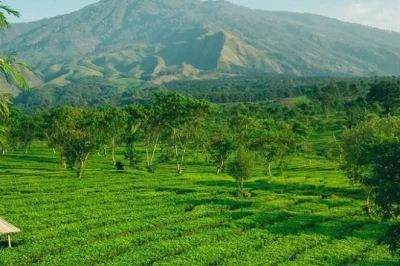 15 Destinasi Wisata Puncak Bogor yang Memesona