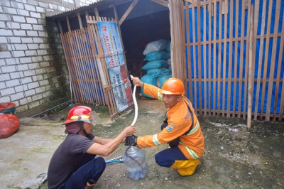 Musim Hujan, Warga Diimbau Waspadai Ular