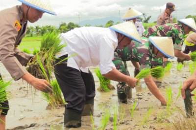 Petani Diminta Waspadai Cuaca Ekstrem pada Musim Tanam I