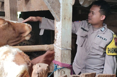 Antisipasi PMK, Bhabinkamtibmas Edukasi Peternak