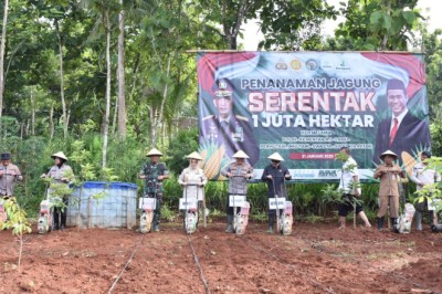 Pemkab Sukoharjo Siapkan 250 Hektare Lahan untuk Program Tanam Jagung Serentak