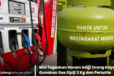 MUI Tegaskan Haram bagi Orang Kaya Gunakan Gas Elpiji 3 Kg dan Pertalite Bersubsidi