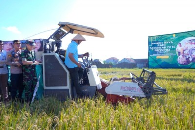 Panen Raya Nasional, Surplus Beras di Sragen Capai 314.301 Ton