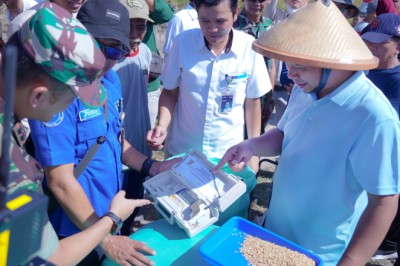 Ringankan Beban Petani, Pemkab Sragen Beri Bantuan Subsidi Pupuk dan Pestisida