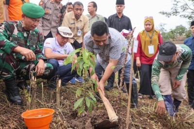 Tanam 1.000 Bibit Pohon di Kawasan Waduk Logung Kudus, Taj Yasin : Rawat dengan Baik