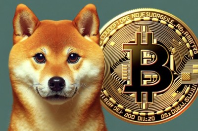 Lonjakan Pembakaran Shiba Inu Memicu Spekulasi Pasar: Apa Dampaknya?