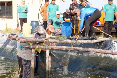 Panen Udang Vaname Berkualitas di KIW, Sekda Sumarno: Bisa Menginspirasi Masyarakat untuk Budi Daya