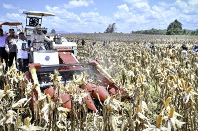 Panen Raya Jagung Seluas 344 Ribu Hektare, Presiden Prabowo Tegaskan Indonesia Siap Jadi Lumbung Pangan Dunia