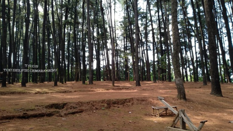 10 Wisata Alam di Semarang Terbaru &amp; Paling Hits 2025, View-nya Bikin Betah!