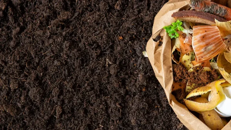 Cara Membuat Pupuk Organik Cair dari Limbah Rumah Tangga untuk Tanaman