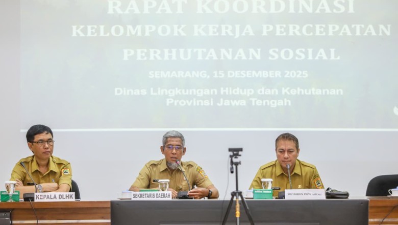 Lahan Kritis Jateng Menyusut Drastis! 75 Ribu Hektare Berhasil Dipulihkan