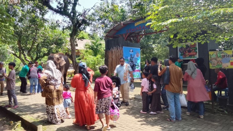 Semarang Zoo Bikin Heboh! Zoonderland Natal–Tahun Baru Hadirkan Dangdut, Cosplay, hingga Petting Zoo