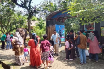 Semarang Zoo Bikin Heboh! Zoonderland Natal–Tahun Baru Hadirkan Dangdut, Cosplay, hingga Petting Zoo