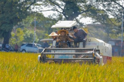 Produktivitas Pangan Jateng Lampaui Target Nasional, Siap Jadi Penopang Pangan RI