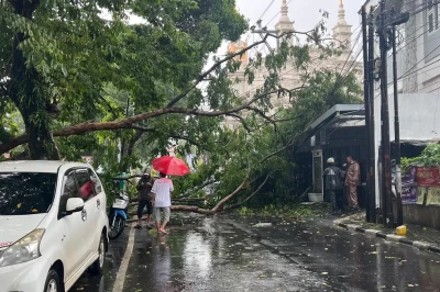 Hujan Deras disertai Angin Kencang Landa Semarang Rabu Siang, Akibatkan Pohon Tumbang