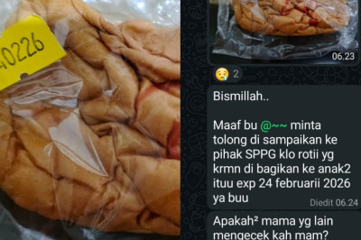Heboh! Roti Kedaluwarsa Dibagikan ke Siswa SD di Semarang, Wagub Jateng Ancam Audit dan Penutupan SPPG