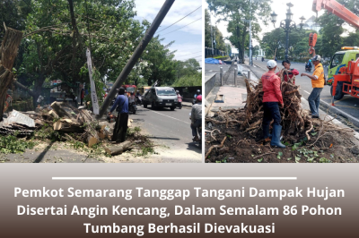 Pemkot Semarang Tanggap Tangani Dampak Hujan Disertai Angin Kencang, Dalam Semalam 86 Pohon Tumbang Berhasil Dievakuasi