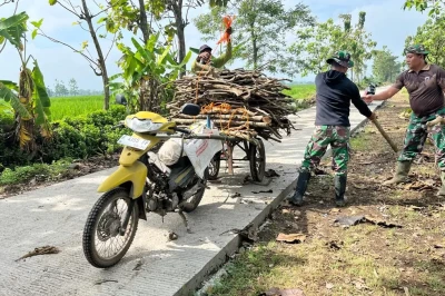 Kemanunggalan TNI dan Rakyat di TMMD Sragen, Satgas Bantu Warga Angkut Kayu Bakar
