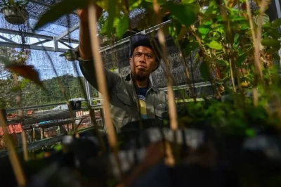 Melongok Langkah Ritno Kurniawan, Menyulap Nyarai jadi Desa Wisata dan Desa Sejahtera Astra di Kaki Bukit Barisan