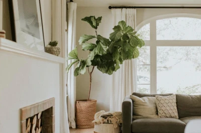 Macam-Macam Warna Earth Tone & Inspirasi untuk Interior Rumah